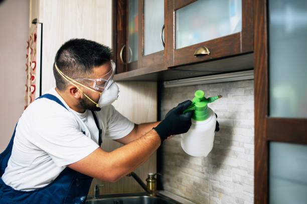 Best Best Pest Control Companies  in Buena Vista, GA