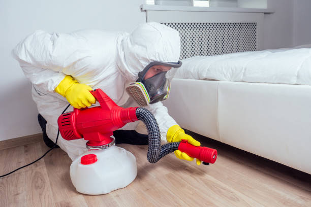 Best Bed Bug Extermination  in Buena Vista, GA