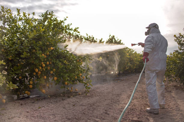  Buena Vista, GA Pest Control Pros