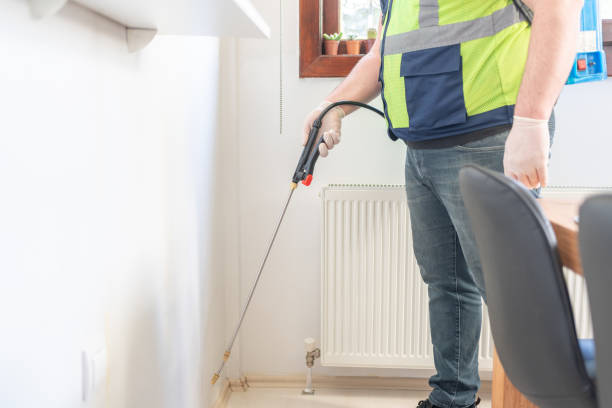 Best Mosquito Control Services  in Buena Vista, GA