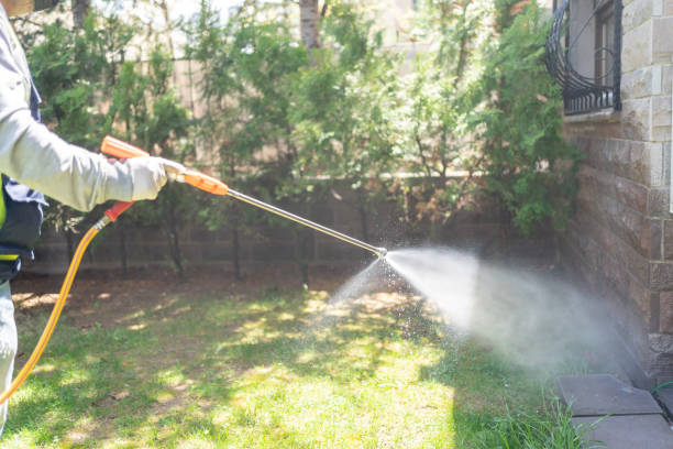 Best Best Pest Control Companies  in Buena Vista, GA