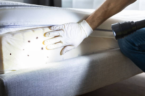 Best Pest Control for Restaurants  in Buena Vista, GA