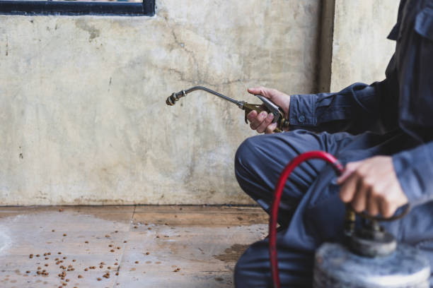 Best Pest Inspection Near Me  in Buena Vista, GA